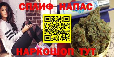 гашик Севастополь