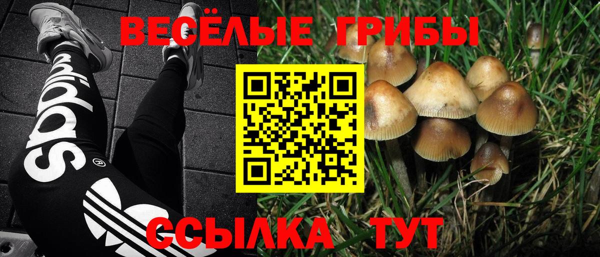 COCAIN Нальчик