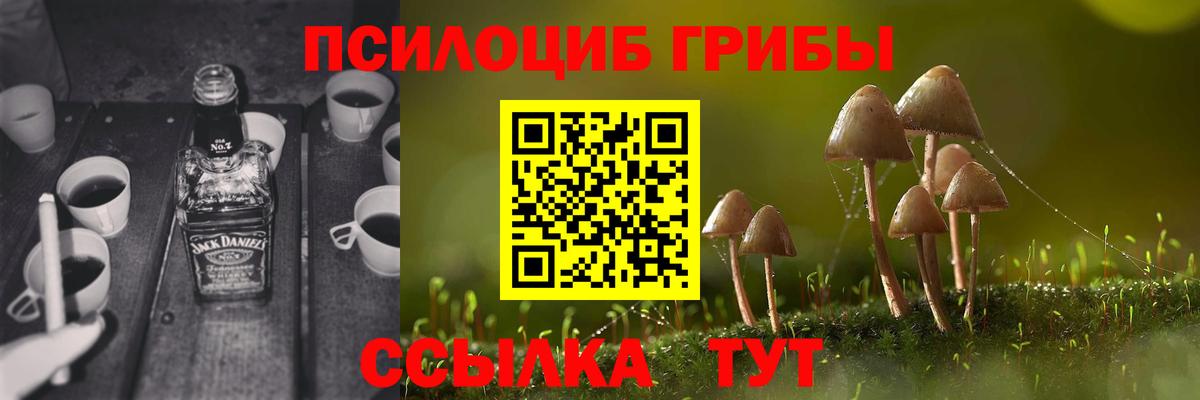 Псилоцибиновые грибы прущие грибы  Вход с VPN  Нальчик 